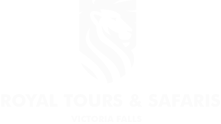 safaris victoria falls